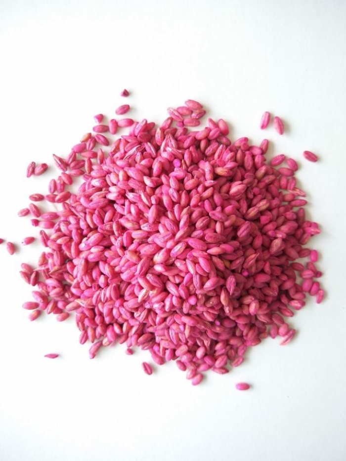 Bromadiolone Rat Bait