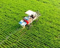 Effect of Anvir (fungous proteoglycan)